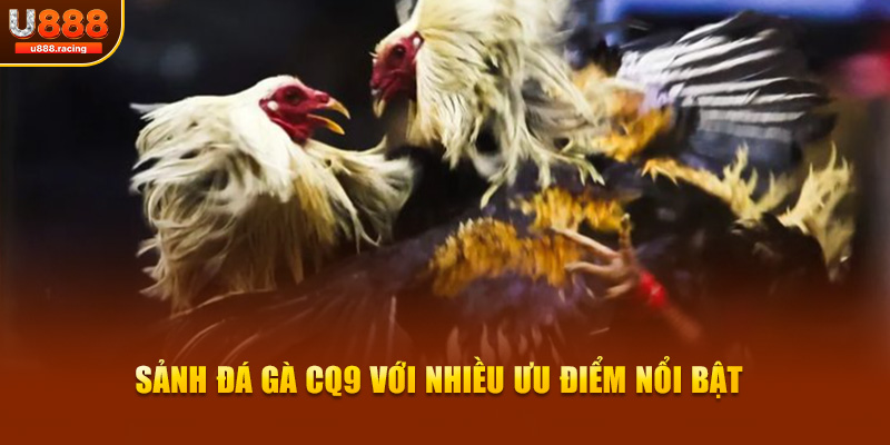 Sảnh đá gà CQ9 với nhiều ưu điểm nổi bật